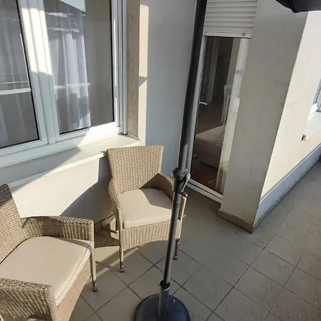 Filinhome Papa 6 Novi Sad